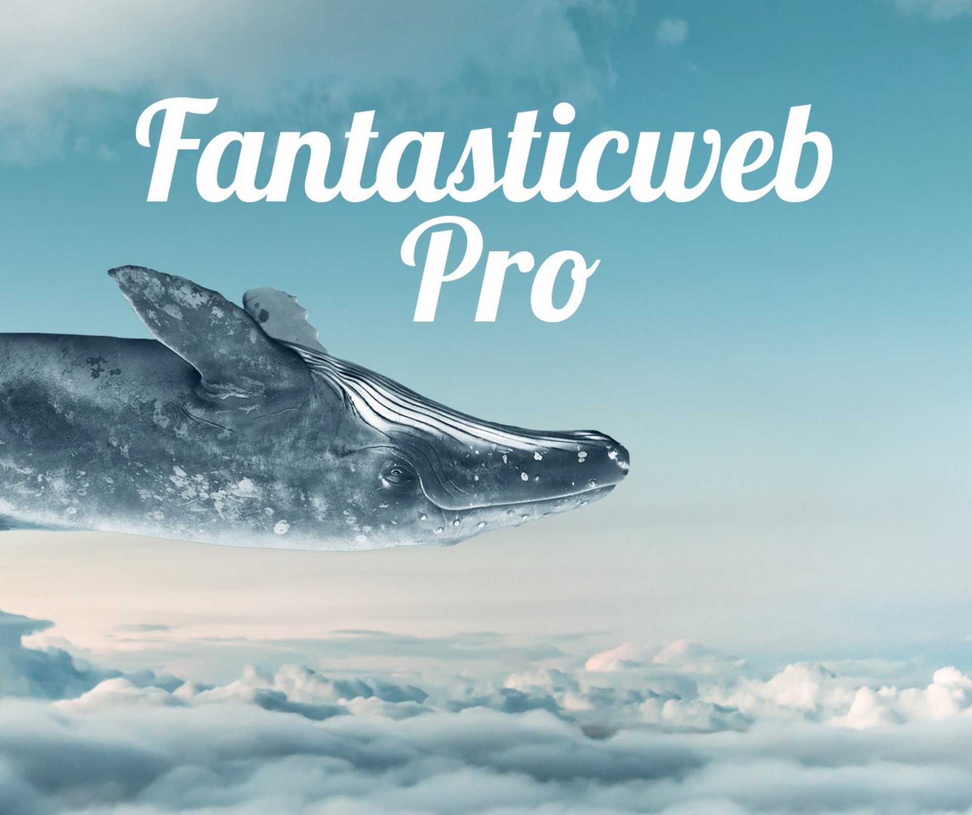 Webdesign für KMU, FantasticWeb Pro, der individuelle Webauftritt - Himmelblau Werbeagentur